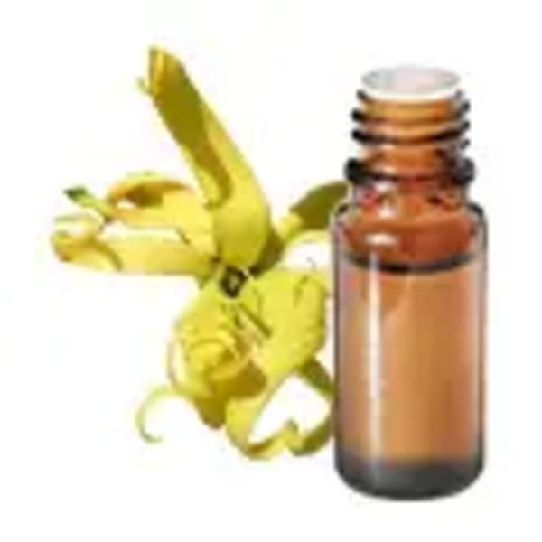 Visuel-HE_flacon-plante_ylang-ylang