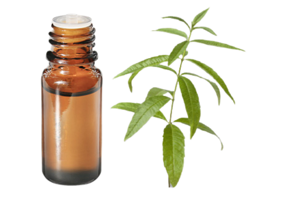FT-Plante HE-Verveine-odorante-removebg-preview