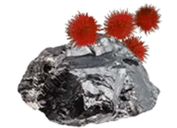 Zinc-Ricin-180px.webp