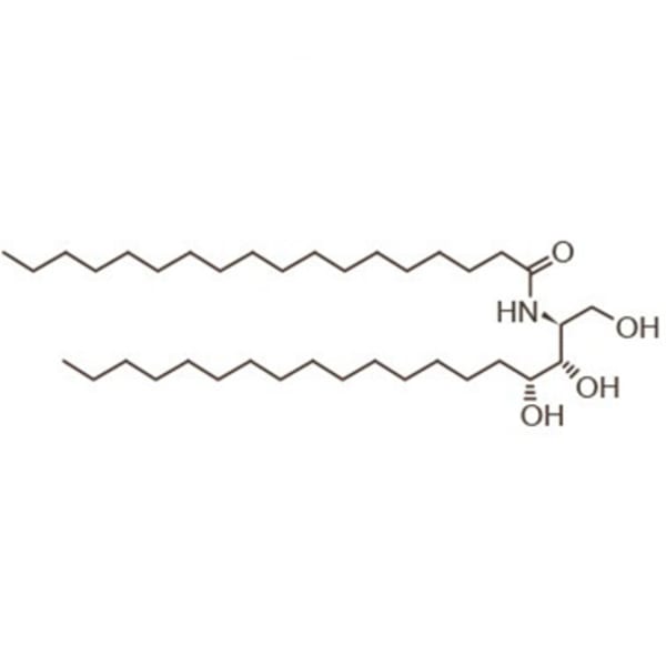 molecule ceramide