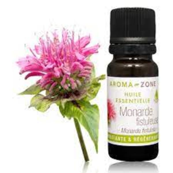 Huile essentielle Monarde fistuleuse