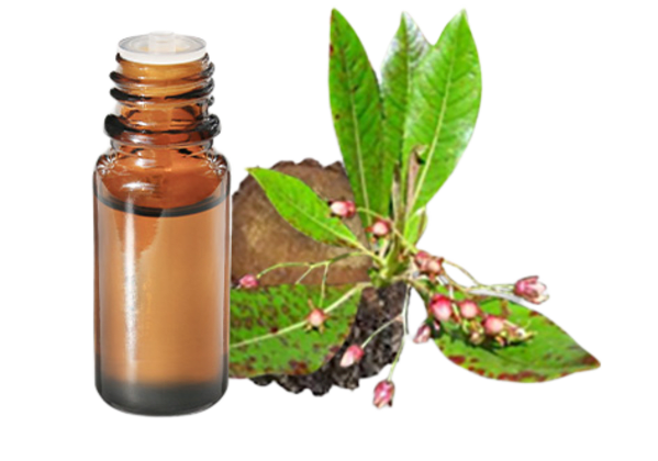FT-Plante HE-Bois-Rose-removebg-preview