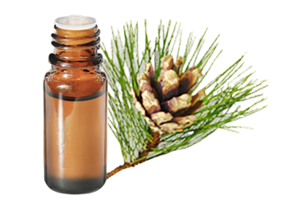 FT-Plante HE-Pin-sylvestre-removebg-preview