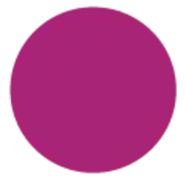 Nuanciers_Pigments-vegetaux_Pourpre (3).webp