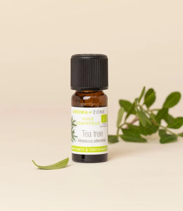 Huile essentielle de Tea tree (Arbre à Thé BIO)