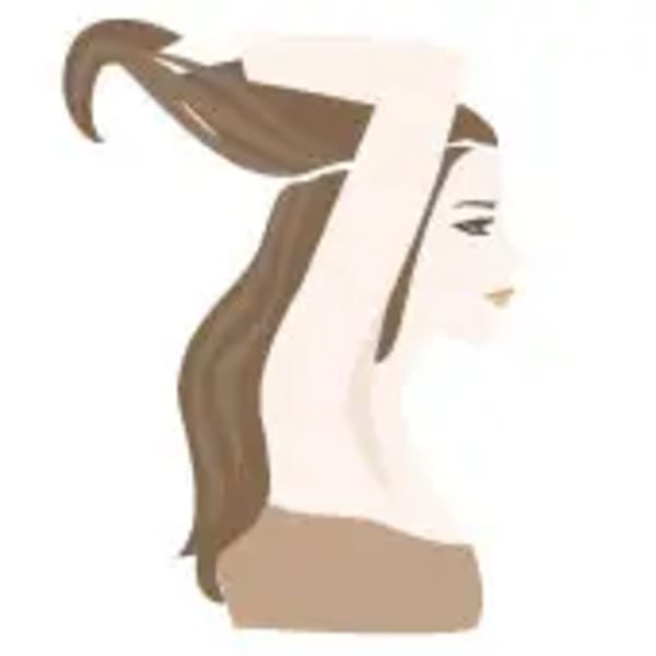 Application-Henne_1