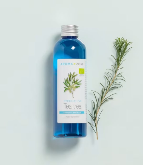 01120-HY_tea_tree_BI-7oXFEtT4.avif