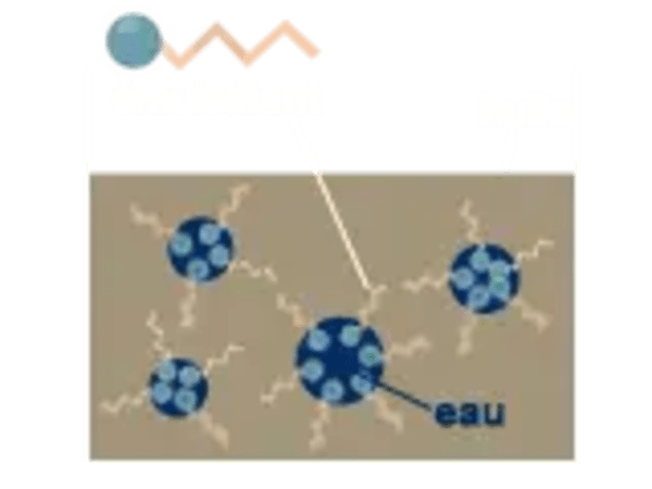 sf_emulsion_explication_shemaeh