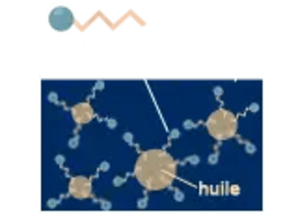 sf_emulsion_explication_shemahe