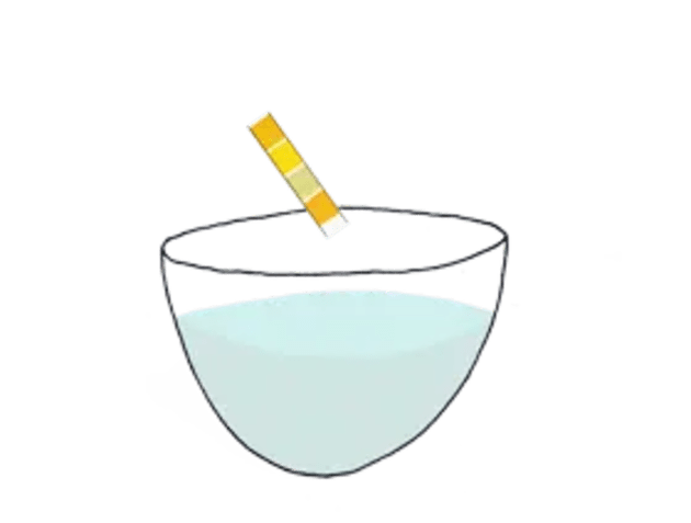 5_Verifier-PH