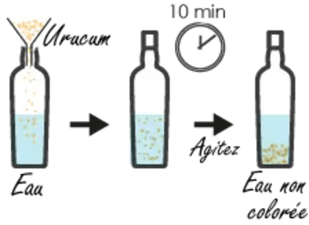 dt_extrait-plante_schema_macerateau.webp
