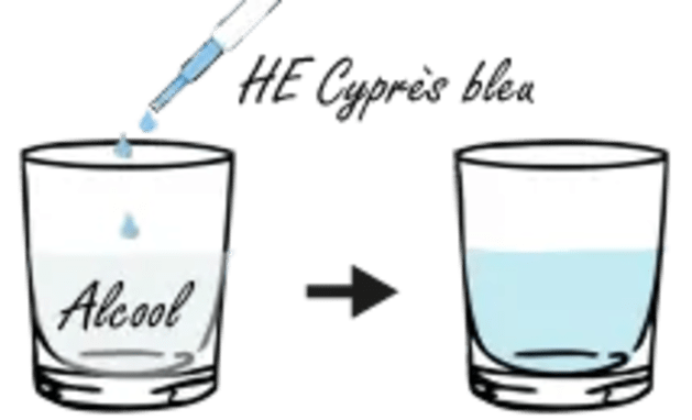 dt_extrait-plante_schema_cypresalcool.webp