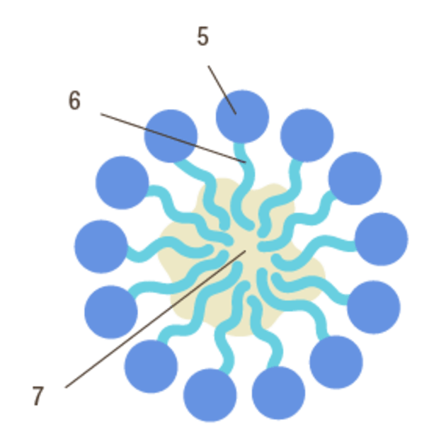Les-micelles-au contact-de-la-peau piegent