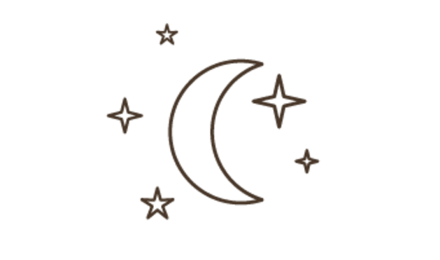 nuit vect