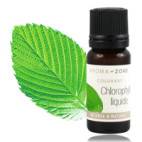 Colorant végétal Chlorophylle liquide