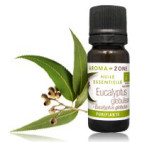 Huile essentielle Eucalyptus globulus BIO