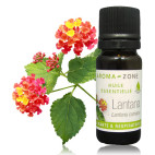 Huile essentielle Lantana BIO